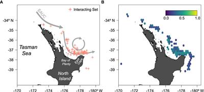 Potential of dynamic ocean management strategies for western Pacific leatherback sea turtle bycatch mitigation in New Zealand